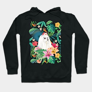 Tropical Maltese Dog 5 - Long Haired Hoodie